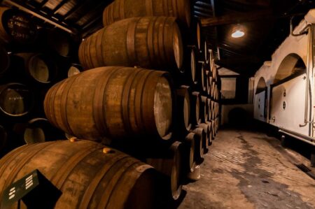 Las imprescindibles bodegas de Oporto que debes visitar en tu viaje