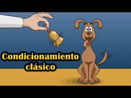 5 Ejemplos de Conductismo en la Escuela que Debes Conocer