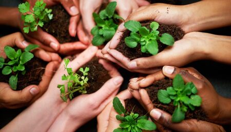Empresas sustentables: ¿qué las hace tan importantes?
