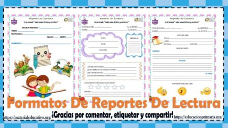 Todo sobre el reporte de lectura: ejemplos y formatos