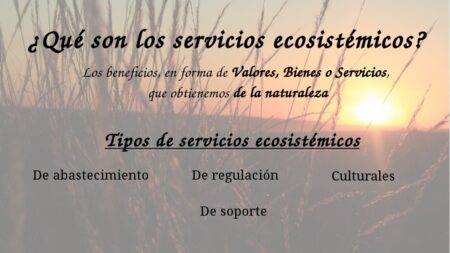 Servicios de soporte: ejemplos y beneficios
