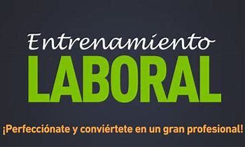 Capacitación y Adiestramiento: Todo lo que necesitas saber