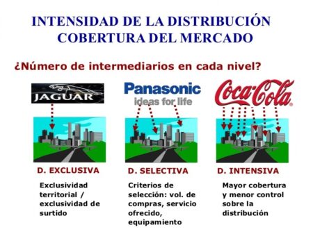Las funciones clave del canal de distribución: guía completa