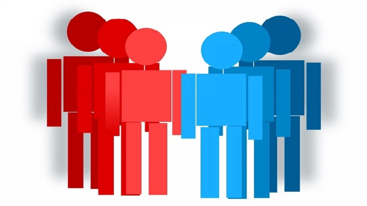 Explorando los elementos sociales: ejemplos y características