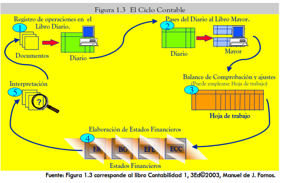 La evolución del proceso contable: historia y relevancia actual La evolución del proceso contable: historia y relevancia actual