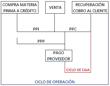 La importancia de la cuenta de capital de aportación: ¿Qué necesitas saber?