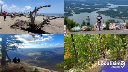 Las impresionantes características de una madre que te sorprenderán Las impresionantes características de una madre que te sorprenderán