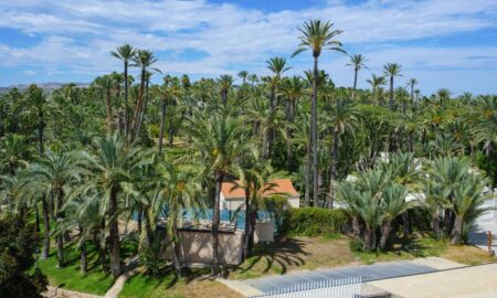 Elche: Un Tesoro de la Humanidad