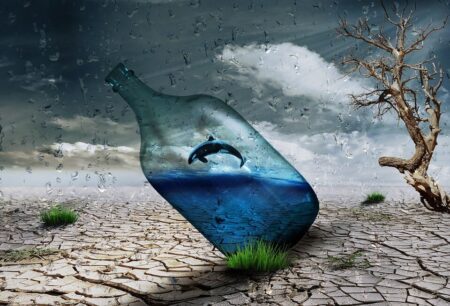 5 campañas publicitarias del medio ambiente que te inspirarán 5 campañas publicitarias del medio ambiente que te inspirarán