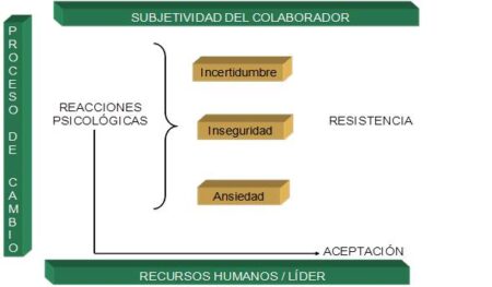 El papel crucial de las personas en una organización: Descubre su importancia